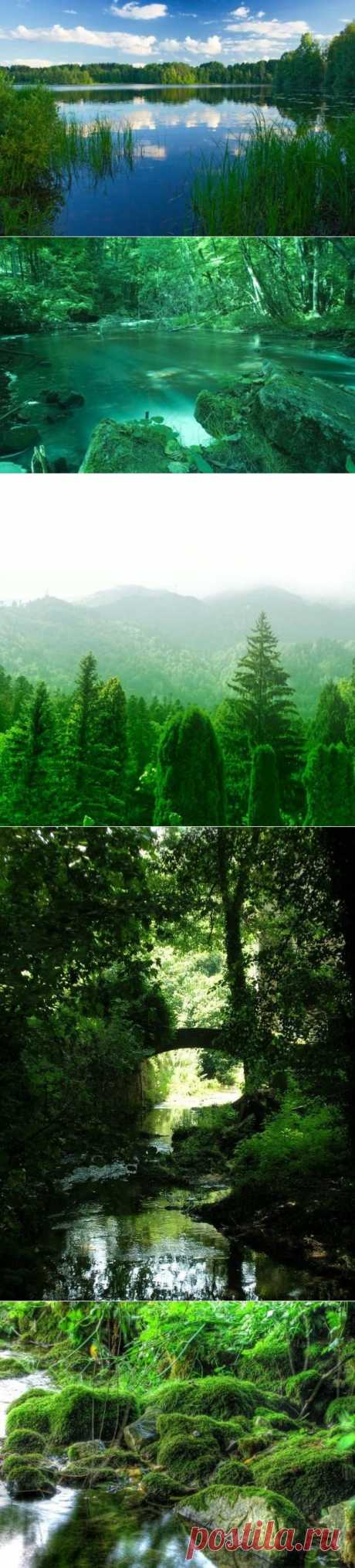 Этот лучший из миров / Туристический спутник