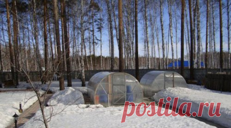Зимние работы в огороде, в саду и на даче.