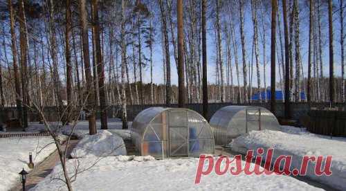 Зимние работы в огороде, в саду и на даче.