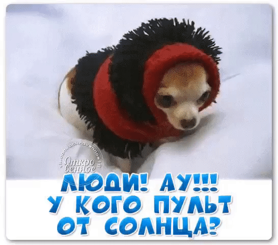 Мой Мир@Mail.Ru