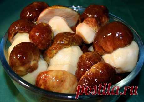 10 заготовок из ГРИБОВ😍 | OK.RU