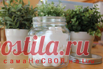 АРОМАТИЗАТОРЫ ДЛЯ ДОМА.