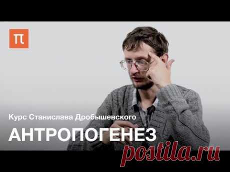 Антропогенез — Станислав Дробышевский / ПостНаука