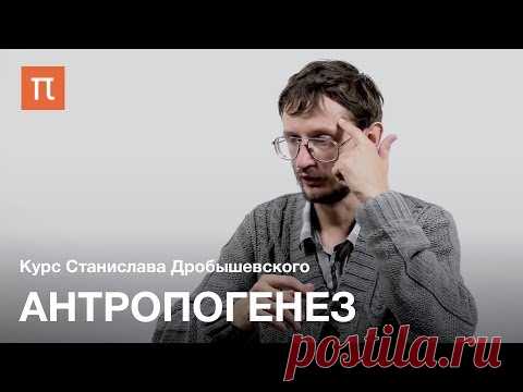 Антропогенез — Станислав Дробышевский / ПостНаука