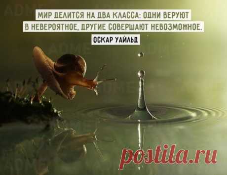 Цитаты на все времена