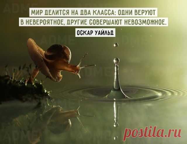 Цитаты на все времена