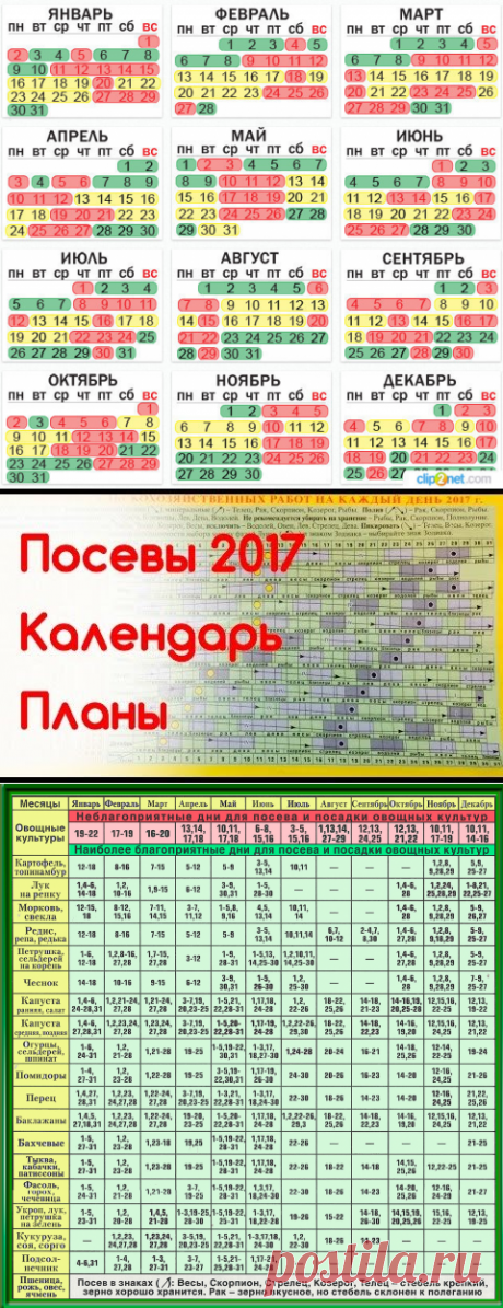 (3) Одноклассники