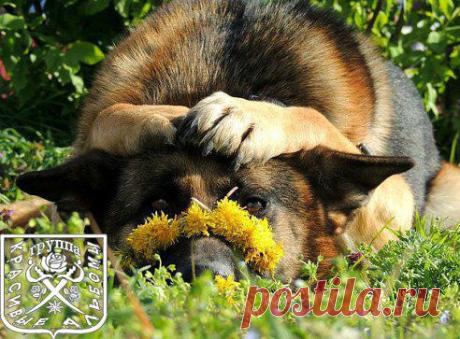 (99) Одноклассники