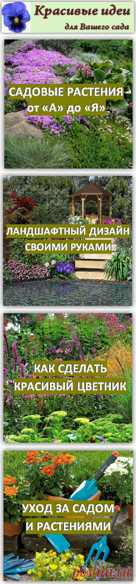 садовые цветы, клумбы и цветники своими руками / Красивые идеи для сада