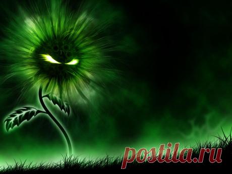 Дом/Сад/Огород | Домоводство для всей семьи