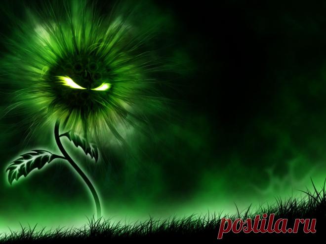 Дом/Сад/Огород | Домоводство для всей семьи