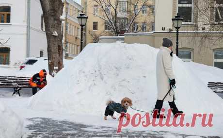 Синоптик исключил наступление ранней весны в Центральной России. Ранняя и своевременная весна в центральной части России в этом году маловероятна, в том числе из-за того, что в первые два месяца весны ожидаются «волны существенных арктических вторжений», сообщил ведущий специалист Центра погоды «Фобос» Евгений Тишковец в своем телеграм-канале.