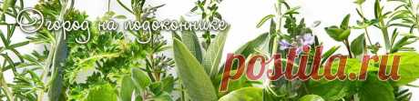 Рецепты необычного варенья. Часть 3