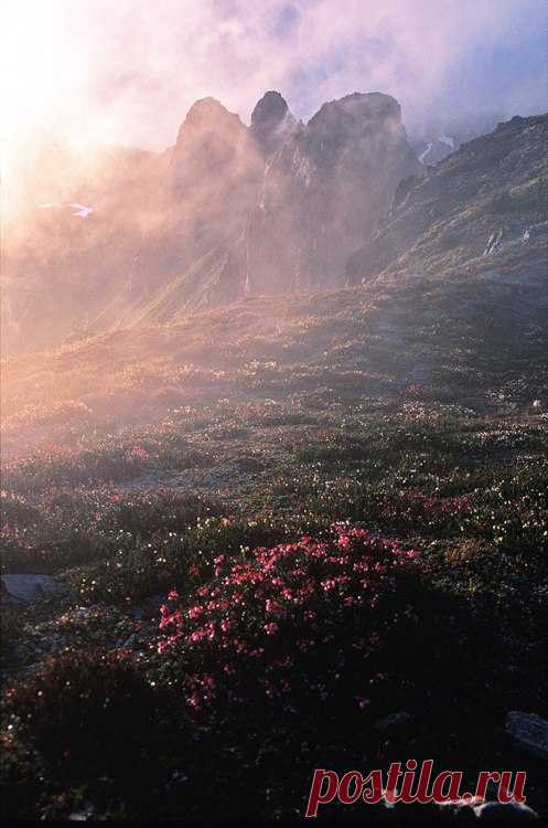 travelaway:
“Travel across the most special places in the world.
”
