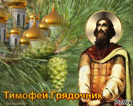 Желаю благ земных и нужных —
Проверенной годами дружбы,
Здоровья, счастья, долгих лет,
Пускай душа не знает бед!