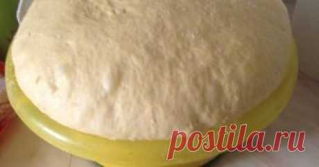 Вкусное домашнее дрожжевое тесто 
&quot;Пушистик&quot; Автор рецепта Лия Старкова 11 лет Вкусное домашнее дрожжевое тесто 
&quot;Пушистик&quot; - пошаговый рецепт с фото.