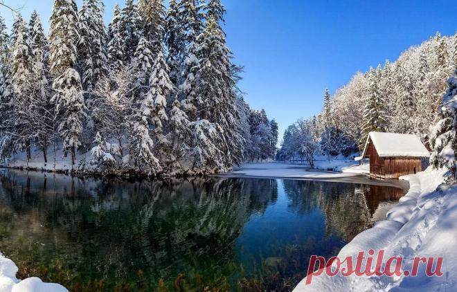 живую картинки на обложку зимние пейзажи: 11 тыс изображений найдено в Яндекс.Картинках
