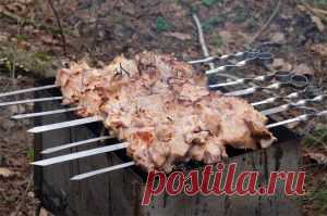 Рецепты шашлыка из мяса, рыбы и даже картошки...