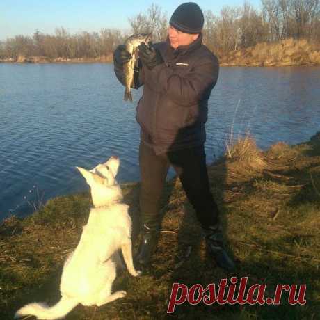 Шёл второй месяц суровой Калининградс / Богатая добыча