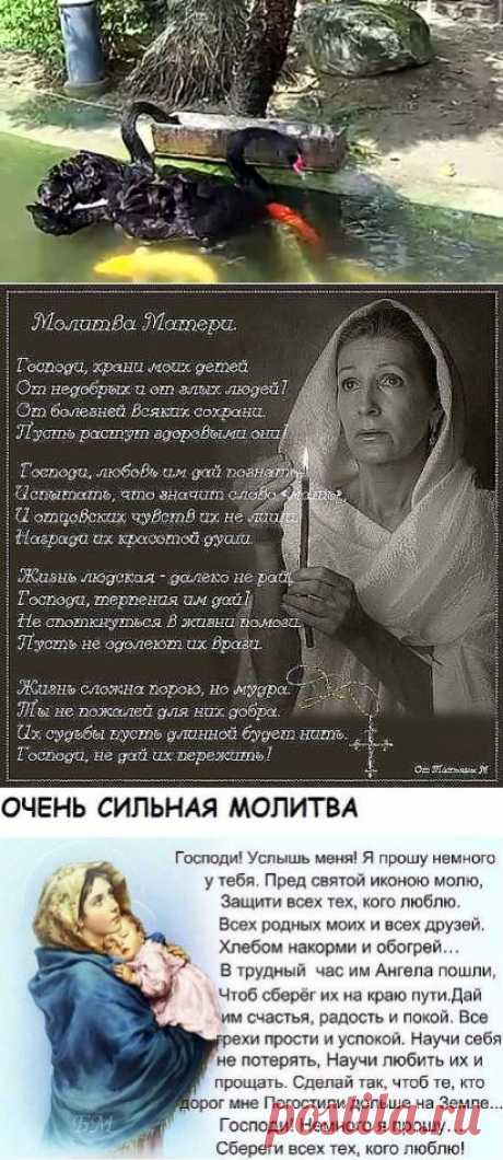 (54) Одноклассники