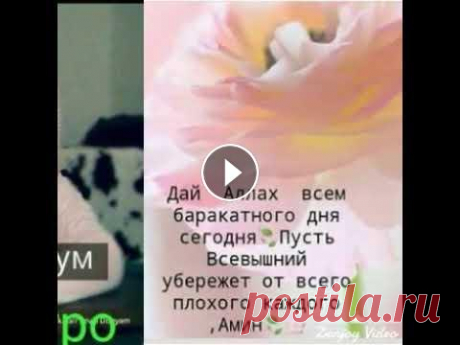 Мусульманское поздравления Мусульманское поздравления...