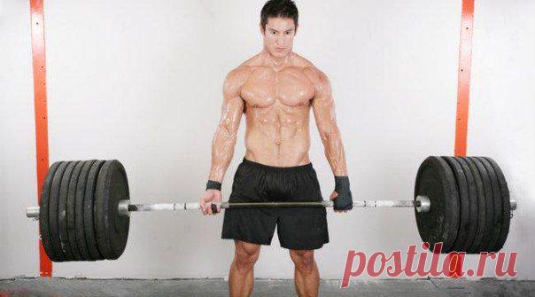 Стэн Эффердин: 7 советов для поражающей тяги / Спорт Сильных!