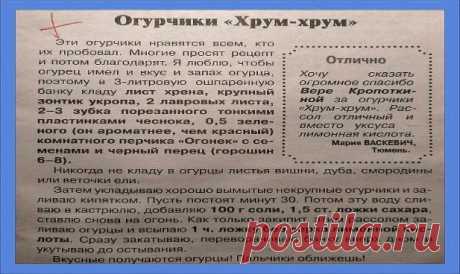 Рецепт дан на 3-х литровую банку Хочу посоветовать интересный рецепт маринованных огурчиков в капустных листьях. Очень вкусно, к тому же листья дополнительно можно использовать и для голубцов. ---------------------------------------------------------------------------------------------------- Вы делали кто нибудь такую закатку, как огурцы в капустных листьях ? Если