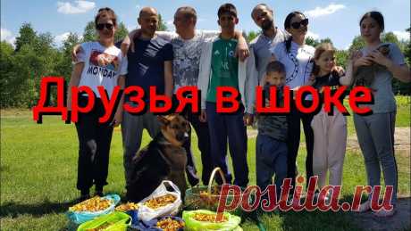 Ютуб черничный хутор последний выпуск Схемы вязания, модели и узоры спицами. Вязание спицами со схемами и описанием. Вязание спицами для начинающих и профессионалов. Каждый день новая схема и мастер классы.