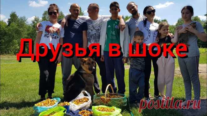 Ютуб черничный хутор последний выпуск Схемы вязания, модели и узоры спицами. Вязание спицами со схемами и описанием. Вязание спицами для начинающих и профессионалов. Каждый день новая схема и мастер классы.