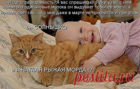 Фотографии на стене сообщества | 32 807 фотографий