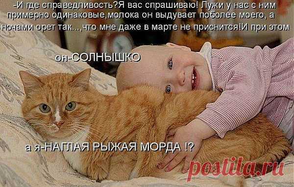 Фотографии на стене сообщества | 32 807 фотографий