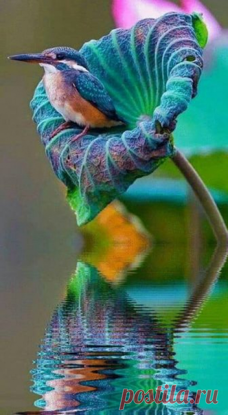 (93) Facebook