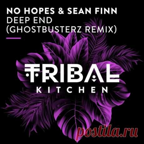 Sean Finn, No Hopes - Deep End (Ghostbusterz Remix) free download mp3 music 320kbps