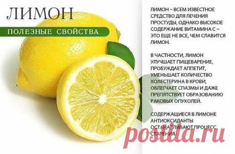Полезные свойства ягод и фруктов