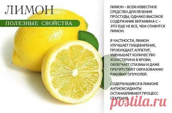 Полезные свойства ягод и фруктов
