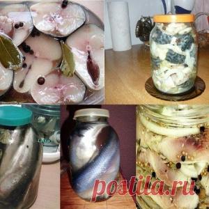 Самые лучшие рецепты засолки скумбрии, сельди, мойвы - МирТесен