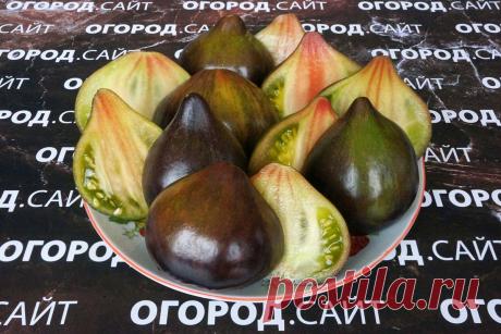 Томат Изумрудный дождь (Софии Сааковой), семена | ОГОРОД.сайт