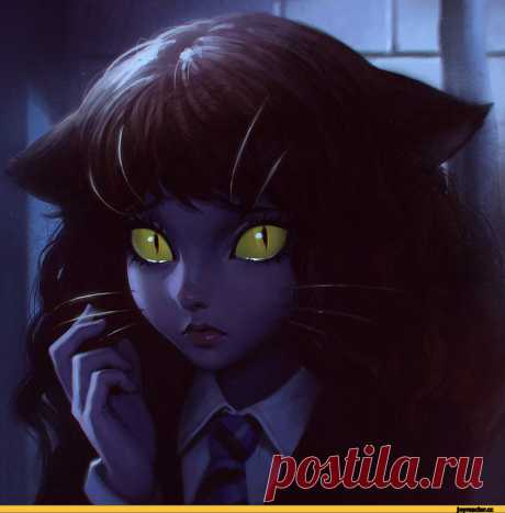 красивые картинки :: кот / картинки, гифки, прикольные комиксы, интересные статьи по теме.