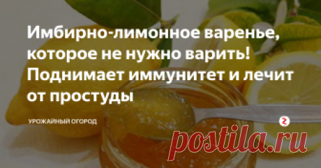 Имбирно-лимонное варенье, которое не нужно варить! Поднимает иммунитет и лечит от простуды Добрый день!
Сейчас идет сезон простуд. Но, у меня уже с годами выработалось отличное средство. Удивительно, но если начать принимать это удивительное варенье уже в октябре и до конца зимы, то вы не заболеете (даже, если будете находиться в окружении простывших родственников и коллег).
val-woman.ru
Кушать такое варенье можно как взрослым, так и детям!