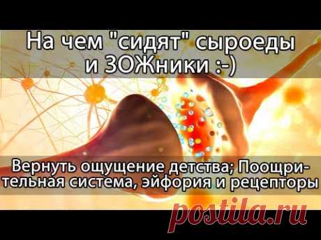 🍏 Сыроедение и ЗОЖ как зависимость: эндогенные наркотические вещества, гормоны и эйфория - YouTube

- Что такое поощрительная система организма;
- Рецепторы, или почему со временем жизнь все меньше радует;
- В чем истинный смысл и сила аскетизма и воздержания;
- Почему в детстве жизнь воспринимается гораздо ярче;
- И многое другое.