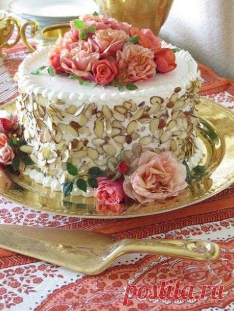 Планета тортов-12!