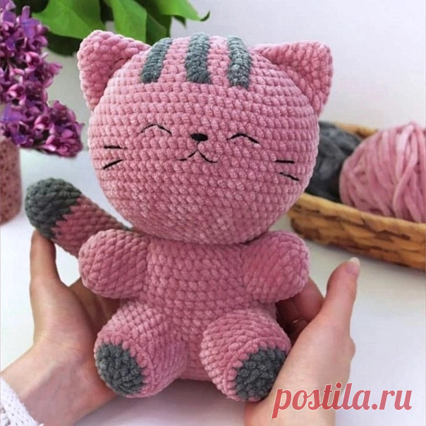 Котик Плюша от @lavrusha_iz_plusha