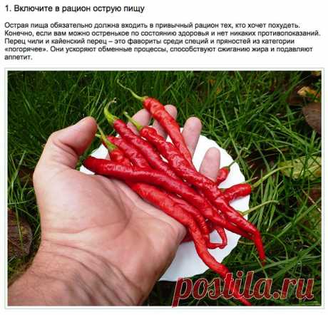 Полезные привычки здорового человека.