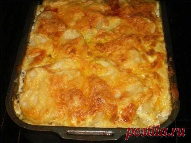 МЯСНАЯ ЗАПЕКАНКА 

ИНГРЕДИЕНТЫ: ● картофель (6шт), ● фарш свинина говядина (400г), ● грибы (100-150г), ● лук (1шт), ● сметана (1 стакан), ● яйцо, ● чеснок (2 дольки), ● соль, перец.

ПРИГОТОВЛЕНИЕ:

1. Картофель очистить и нарезать тонкими ломтиками. Лук порезать полукольцами. Грибы порезать небольшими кубиками, смешать с фаршем и приправить солью и перцем. 2. Для заправки: сметану смешать с пропущенным через пресс чесноком, добавить сырое яйцо, соль, перец и хорошо переме...
