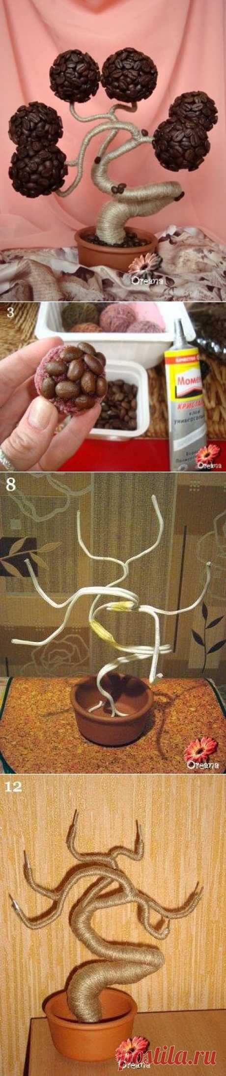 кофейный баобаб