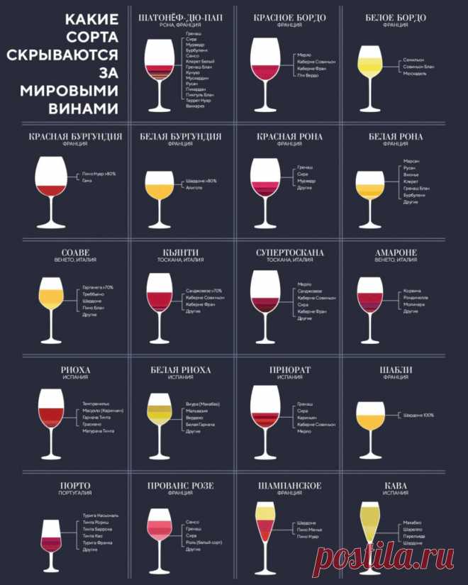 Какие сорта скрываются за известными винами?