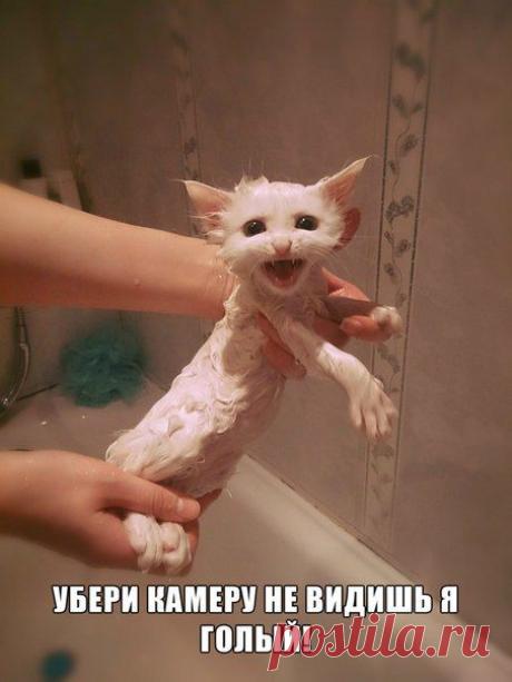 Мой Мир@Mail.Ru