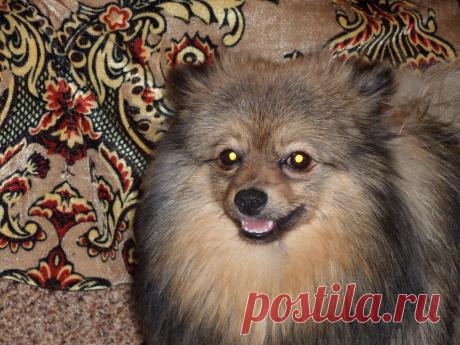 Мишке 8 месяцев