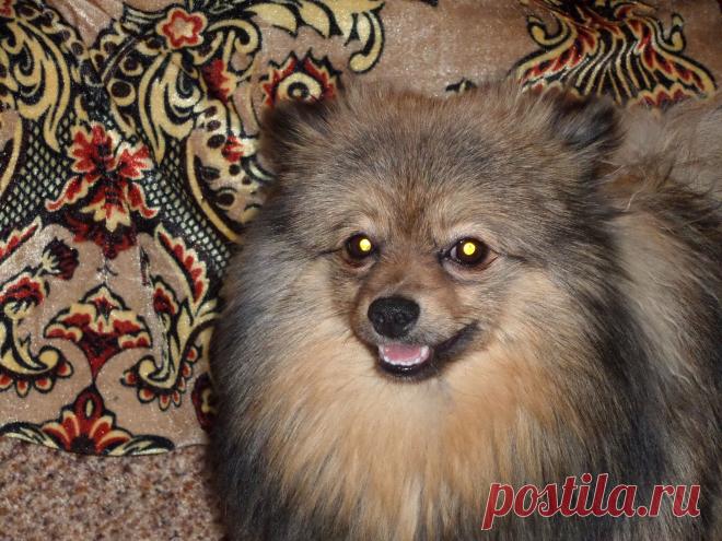 Мишке 8 месяцев