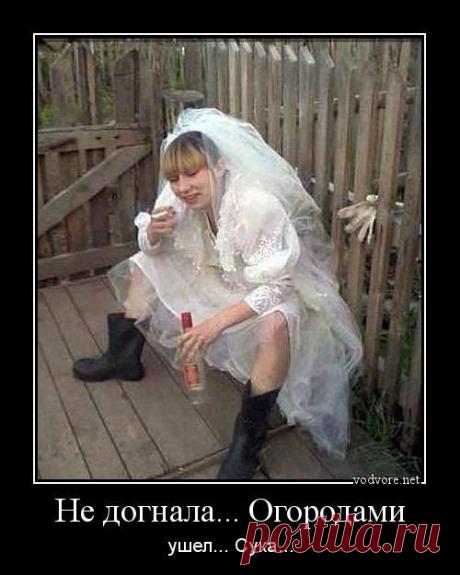 Демотиватор: Не догнала... Огородами ушел... Сука...